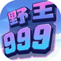 野王999