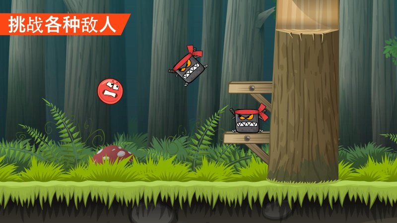 红球4封面2