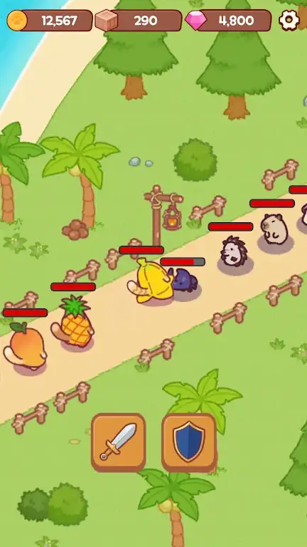 猫咪海岛