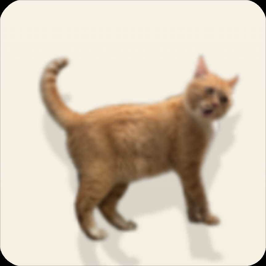 小猫哈气对决模拟器