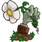 植物大战僵尸大哥版