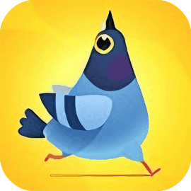 玩到爽飞/最强飞行师/疯狂的鸽子