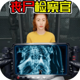 边境检察官3